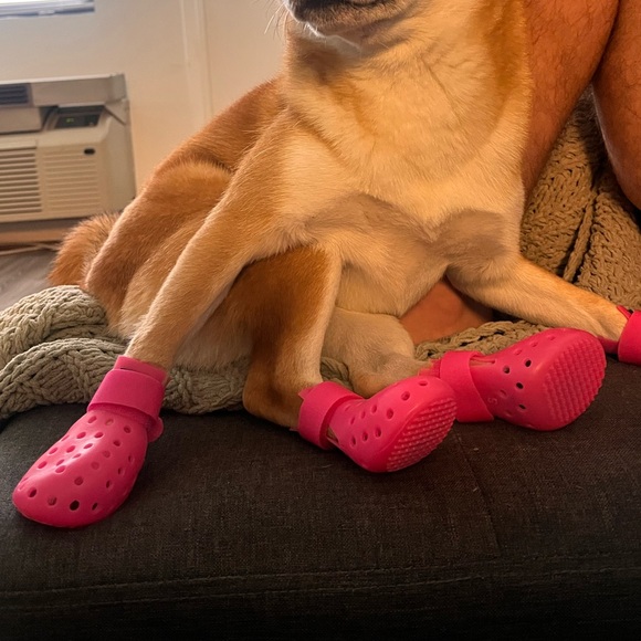 WAGWEAR BOOTS FOR DOGS - Picture 4 of 4